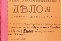 256