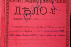 256