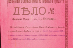 256