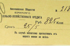 256