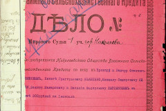 256
