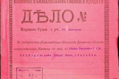 256