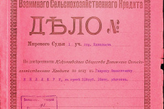 256