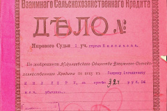 256