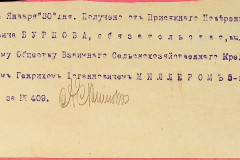 256