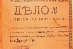 256