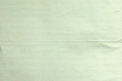 256
