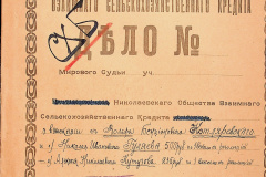 256