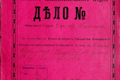 256