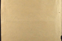 256