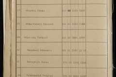 0115-001-194-038