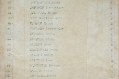 241