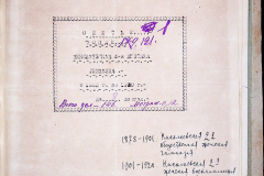 241