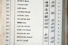 241