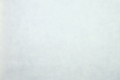 241