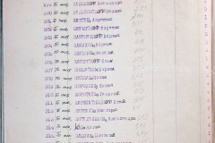 241