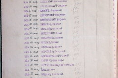 241