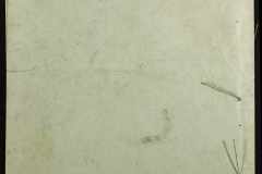 0143-001-0292-005