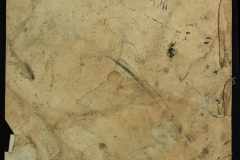 0143-001-0458-005