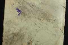 0143-001-0678-006