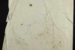 0143-001-0709-006