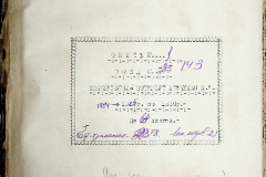 241