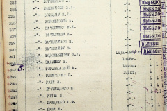 241