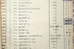 241