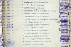 241