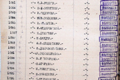241