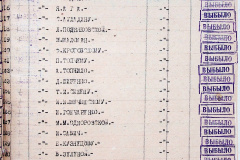 241