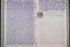 0151-001-0366-006