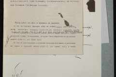 0151-001-0445-008
