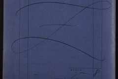 0151-001-0595-002