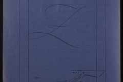 0151-001-0599-002