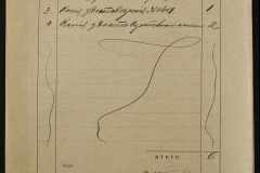 0151-001-1110-002