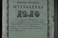 0152-001-0294-001