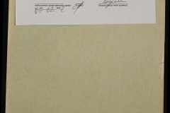 0152-001-0875-008