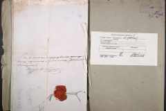 0152-002-005-012