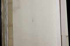 0168-001-006-v03-268