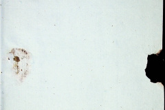 241