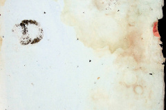 241