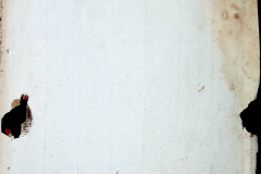 241