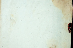 241