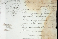 241