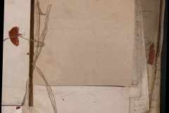 0168-001-021-044
