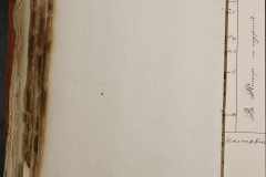 0168-001-022-560