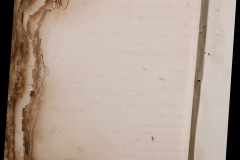 0168-001-030-01-524