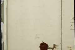 0168-001-068-037