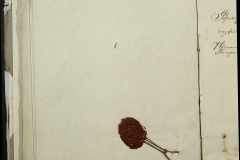 0168-001-068-050
